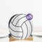 Big Dot of Happiness 3D Volleyball Centerpiece Table Decorations, Freestanding Volleyball Baby Shower or Birthday Party Centerpieces - 8 Count